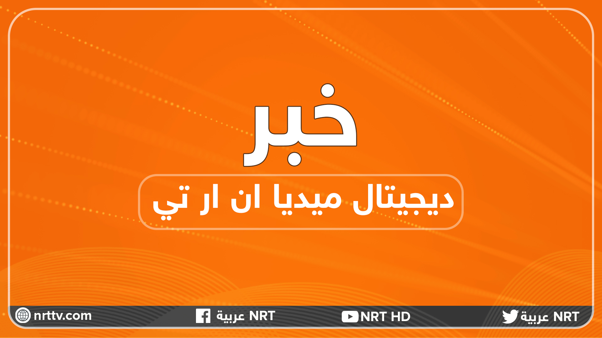 منظمة بيئية تدين قتل 100 كلب في مدينة كردية